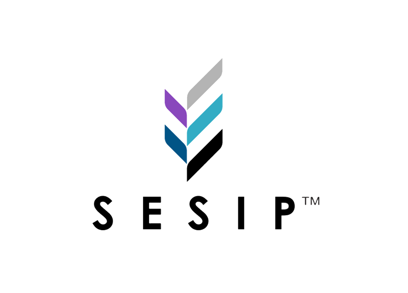 What is sesip certification? What is sesip certification?